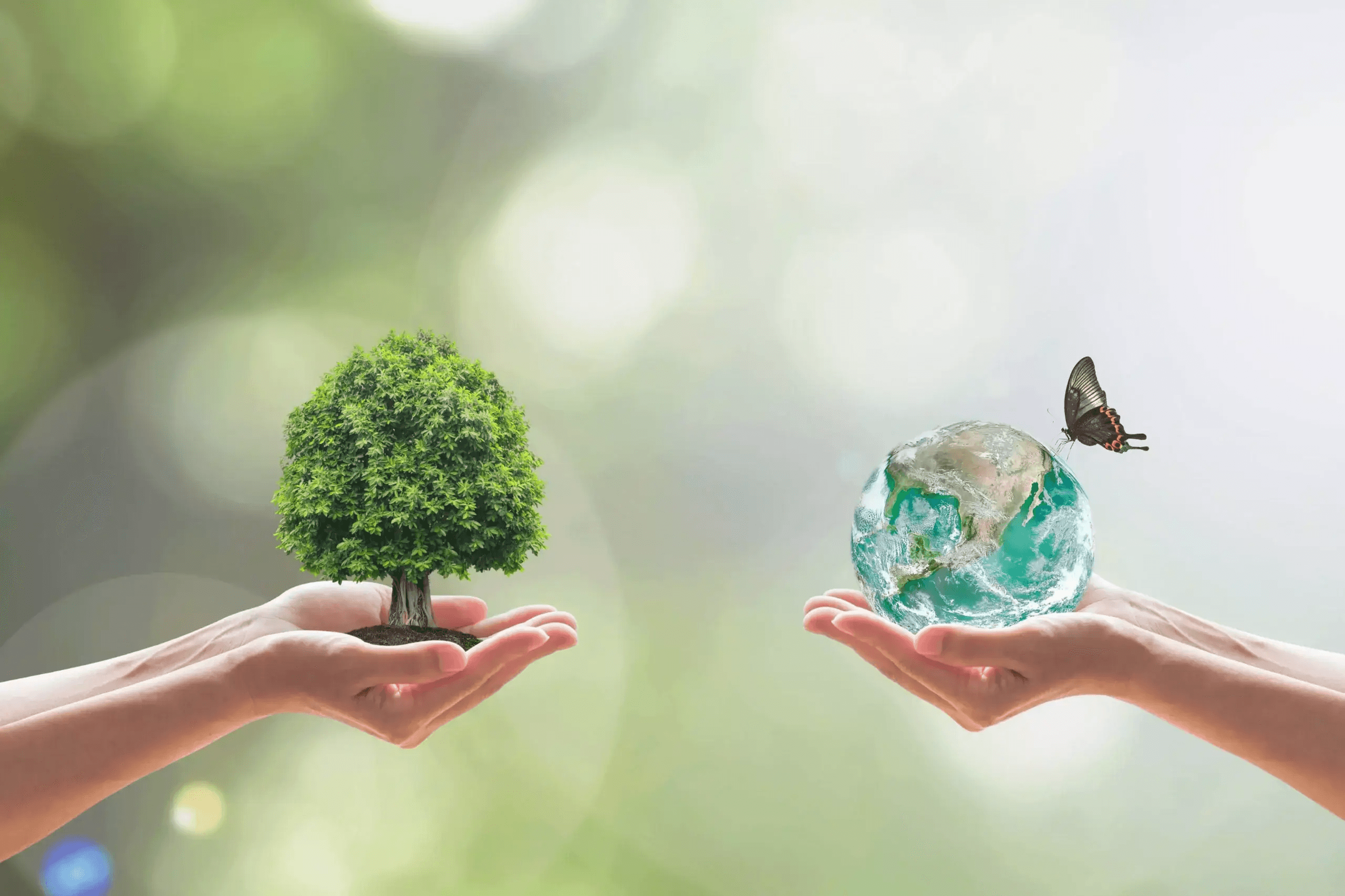 Sustainable Energy